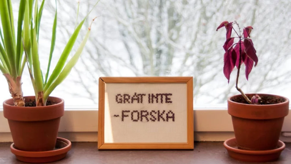 Uppsalaaprofessorn Karin Westman Bergs ord står som en påminnelse och uppmaning på Klara Goedeckes fönsterbräde.