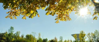 Ingen brittsommar – än