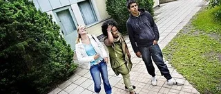 Så kan Valsätra och Gottsunda bli lugnare