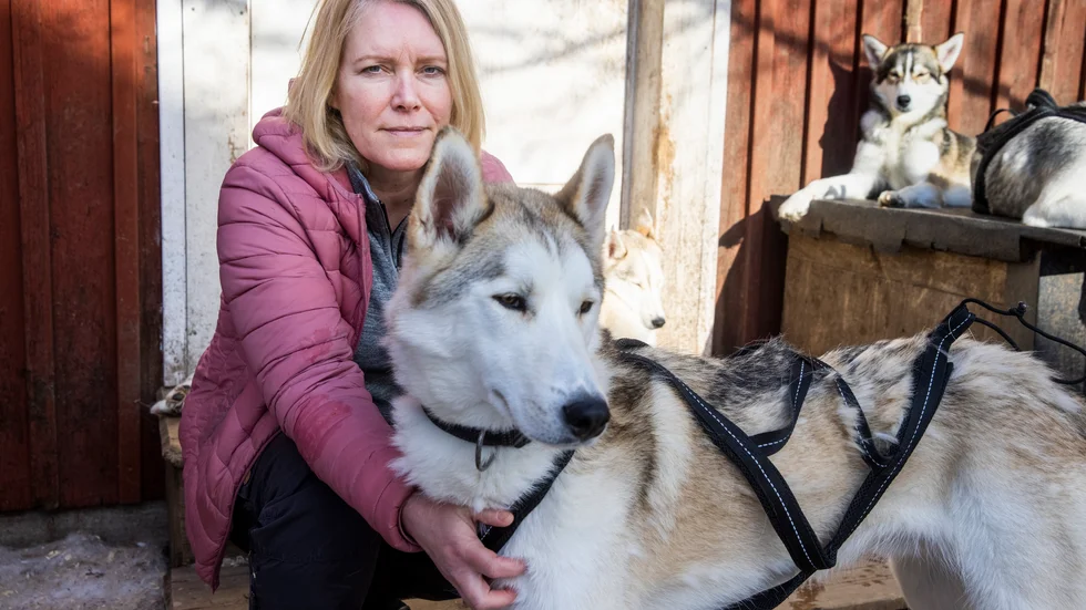 "Det här är tredje säsongen vi är i gång. Första säsongen stängde isvägen i slutet av mars och förra året hade vi ingen isväg", säger Susanne Törnlind, delägare i Luleå archiepelago adventures. (Arkivbild)