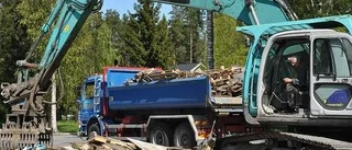Många frivilliga  i röjningsarbetet
