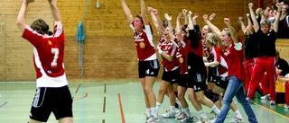 Skånela kvar i elitserien