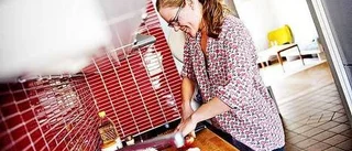 Matlagning nära naturen