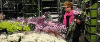 Snittblommor året om
