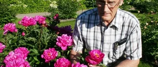 Lättodlad kärleksblomma