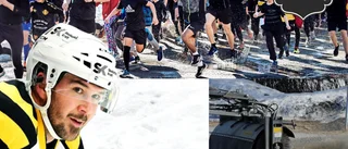 10 säkra tecken på att våren är kommen till Skellefteå • Hundbajs • Dödsfällan för pollenallergikerna • Man fryser arslet av sig • Luleå åker ut