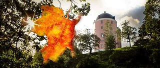 Räkna med fortsatt blåsigt väder