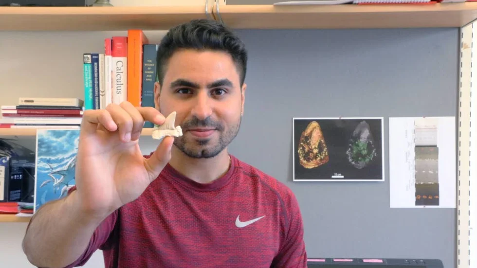 Mohamad Bazzi visar en tand från en utdöd hårbrandsartad hajart.
