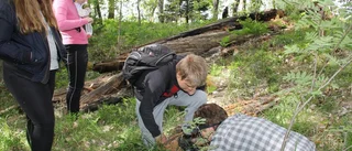 Elevernas spindeljakt hjälper forskarna