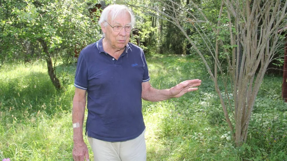 Den svamp som plockas under Svante von Strokirchs ledning visas sedan i en utställning.