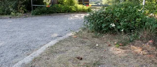 Skräp och bajs skämmer parken
