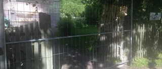 Nya bommar vid Katedralskolan