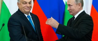 Orbán bjuder in Putin till möte