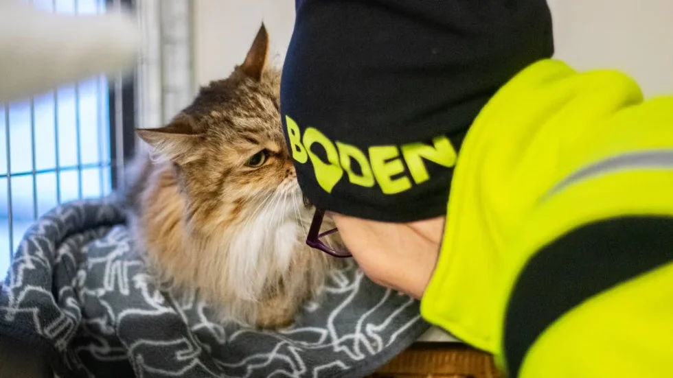 Nina Vikström älskar att mysa med sina inackorderade djur och lägga ner mycket tid på dom.