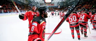 Bildspel: Se Luleå Hockeys seger i bilder