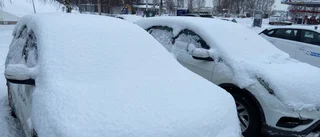 ❄️ Snöfall överraskade Luleå på onsdagsmorgonen ❄️ Så ser prognosen ut närmaste dagarna