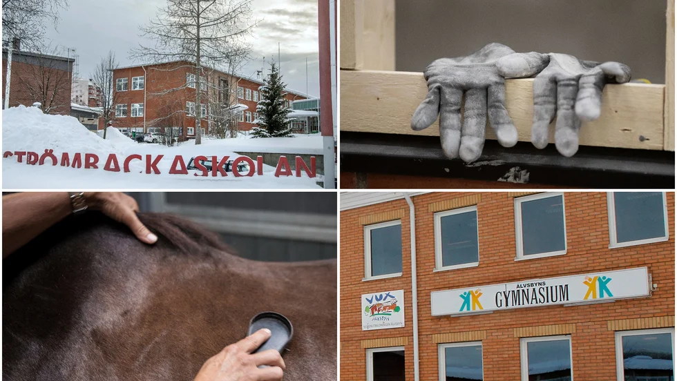 De första siffrorna visar vilka program som är attraktiva och vilka som har lägre söktryck i Piteå och Älvsbyn.