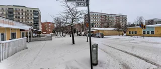 Kameror kan sättas upp i vår