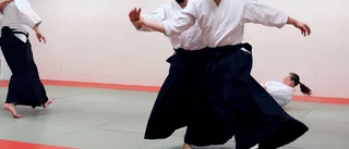 Samspel och harmoni i Aikido