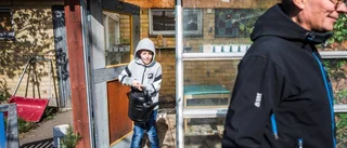 Här odlar eleverna sin egen skolmat