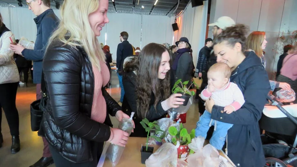 Tiffany Salysbury, Laura Salysbury, Jasmine Salysbury (med dottern Milou) har plockat på sig elefantöra. "Den är fin och lättskött" säger Jasmine Salysbury.