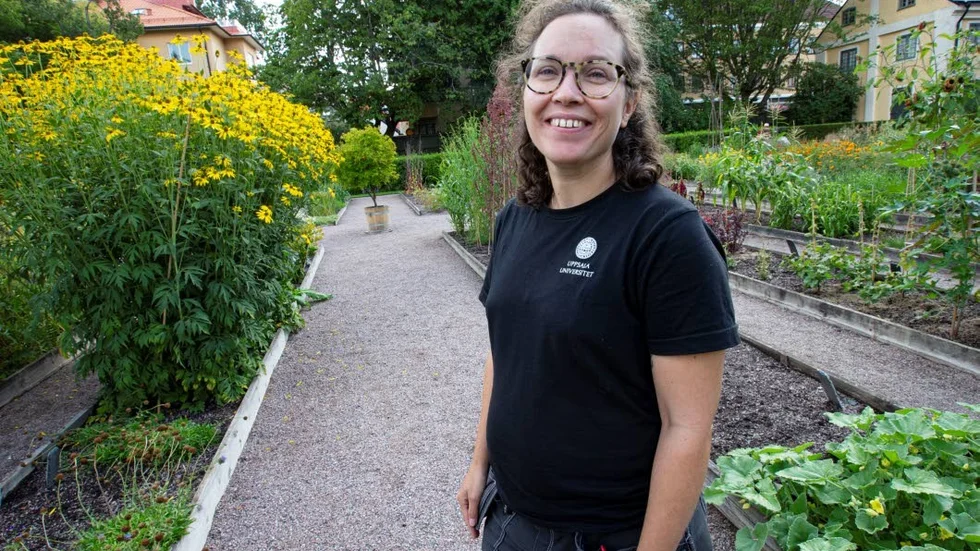 I Linnéträdgården är det dags att samla fröer. Här trädgårdsmästaren Jessica Fajersson.