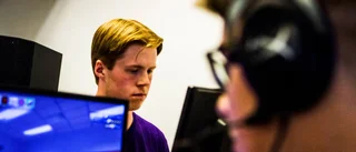 Entreprenörskap ledde till Sommar-LAN
