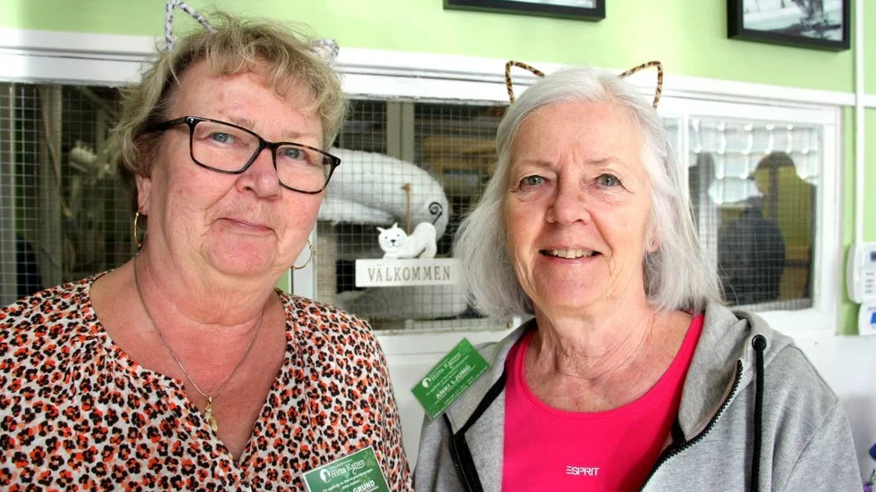 Kaija Grund och Anki Ljung på Hitta Katten har snygga kattöron dagen till ära.