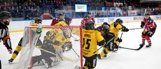 Här är Piteå Hockeys resa senaste tio åren – 2018 var det kvalfest