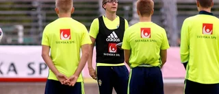 Kan Sverige besegra Finland på Enavallen?
