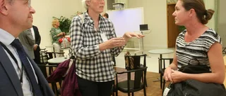 Ny metod i kampen mot myggen