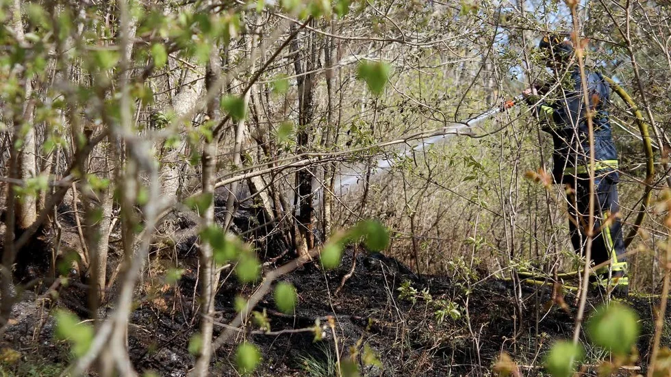 Branden. Cirka 5 000 kvadratmeter i skogen vid Hjälsta brann.
