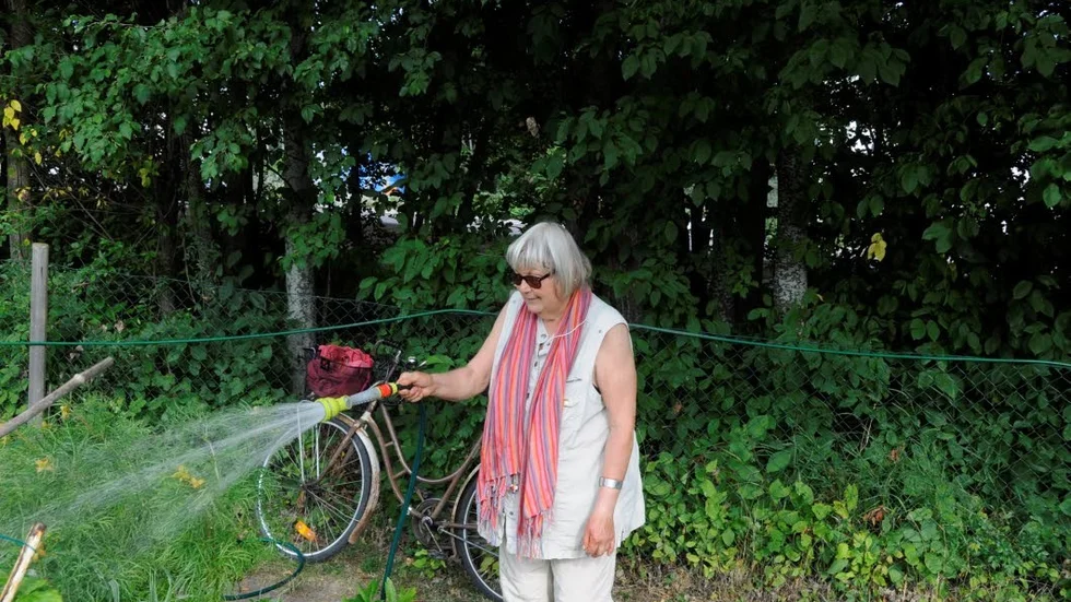 Vattnar. "Oj, vad torrt det är", säger Louise Flink. Hon ser till att hennes grödor vid odlingslotten nära Råbyvägen i Uppsala får sig en dusch.