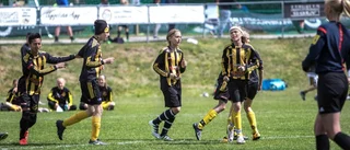 Fick Gothias fair play-pris