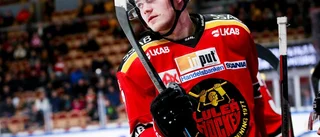 Luleåjunioren får vänta på SHL-debuten