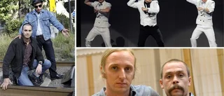 2012 - ett år med glada nyheter