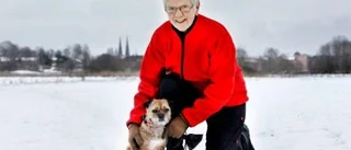 Ingen höjdare om man är hund