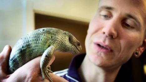 Mårten Perneberg är ordförande i Stockholms Herpetologiska förening. Han har haft reptiler sedan han var elva år. Senaste inköpen är två gripsvansskinkar.