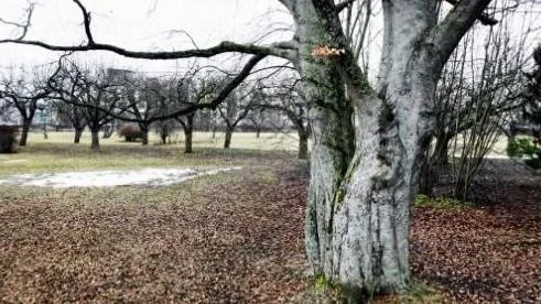 Snart kan Seminarieparken vara ett minne blott.
