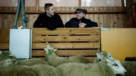 Kocken Martin Andersson på besök hos fårbonden Karl Henrik Grandin.