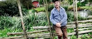 "Mest synd om de skadade djuren"