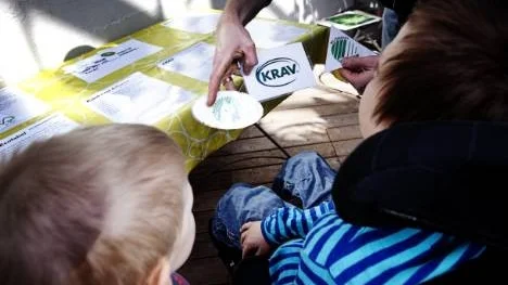 Påskaktiviteter i Botaniska trädgården. På bilden: Pappa Linus Ravald visar David och Gustav olika miljömärken som klippts ut som pusselbitar och ska placeras på rätt papper på bordet.