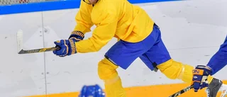 Linus Omark har köpt länets dyraste hus
