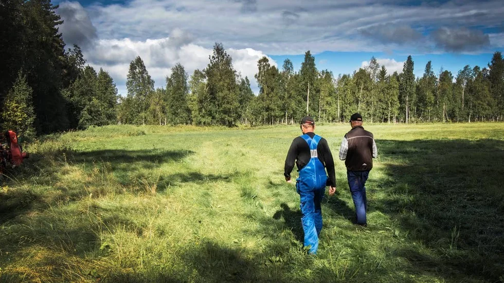 En bonde slår en äng på fäbovallen. Nils Nordlund och Kjell Sundberg berättar att man tidigare kunde se ända till E 4 härifrån. Men nu har skogen tagit över.