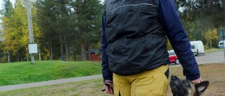 Brukshundstävling i Gällivare