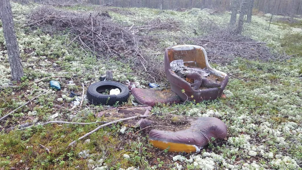 Den vackra tallheden her berikats med en inte så vacker soffa samt medföljande bildäck.