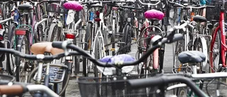 Häktad - för hundratals cykelstölder
