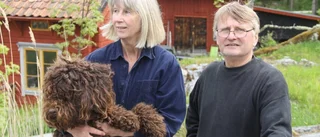 Konsten intar Gräsö