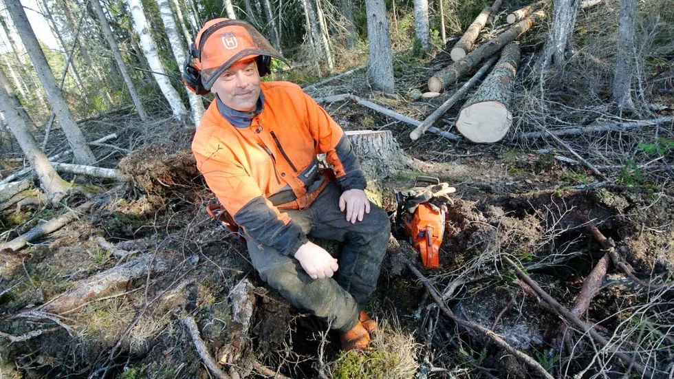 Kvalitetsskog. Tomas Lindqvists drömskog är områden med fina tallar av god kvalitet.