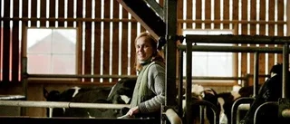 Uppsala ska bli helt ekologiskt